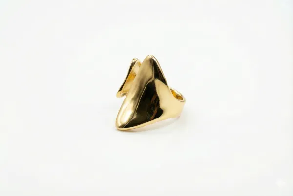 Gilded Zenith Wrap Ring